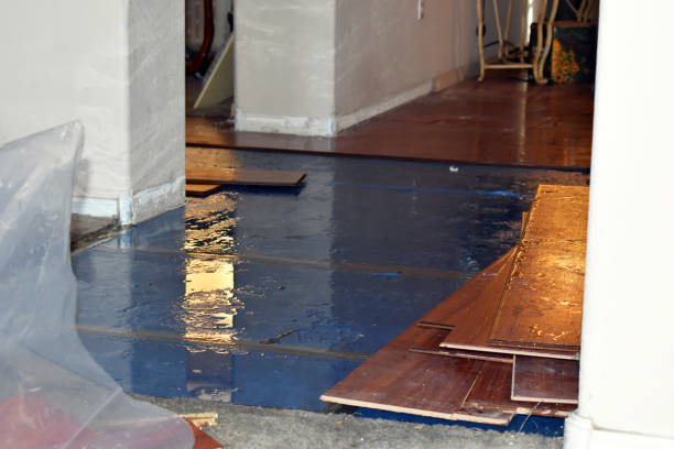Professional Burst Pipe Cleanup technician working in Denton, NC